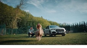 Mercedes-Benz Türkiye ve HAÇİKO’dan Evcil Hayvanlar İçin Güvenli Yolculuk Rehberi