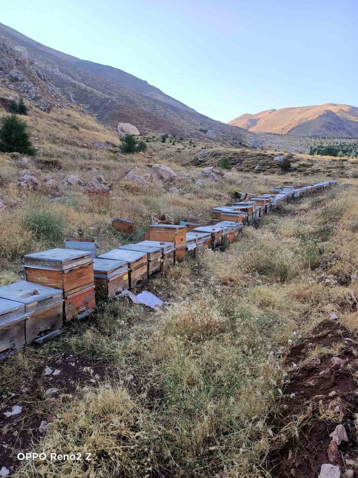 ADIYAMAN’DA YÜKSEK RAKIMLI ULUBABA DAĞINDAN KALİTELİ BAL ÜRETİMİ