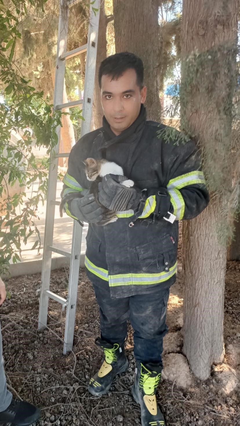 AĞAÇTA MAHSUR KALAN KEDİ İTFAİYE TARAFINDAN KURTARILDI