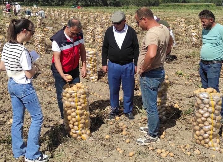 ALTINTAŞ İLÇE TARIM VE ORMAN MÜDÜRLÜĞÜNDEN PATATES ÜRETİCİLERİNE KONTROL