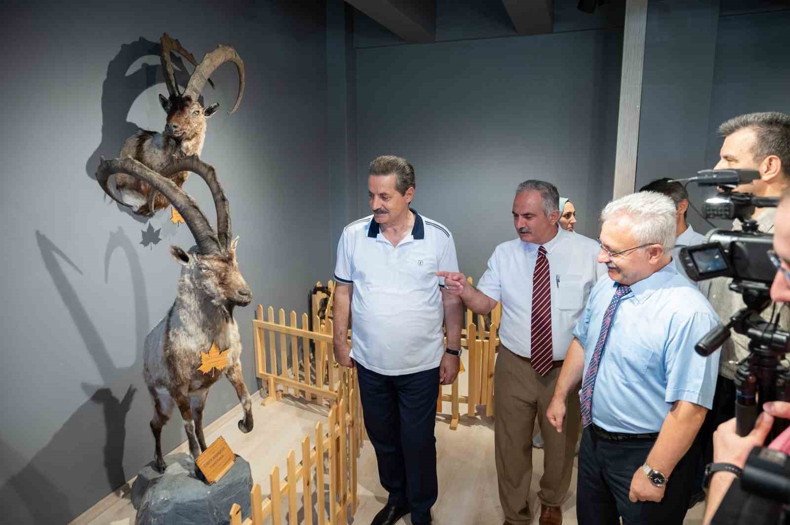 ARTVİN'DE YABAN HAYATI MÜZESİ ZİYARETÇİLERİNİ BEKLİYOR