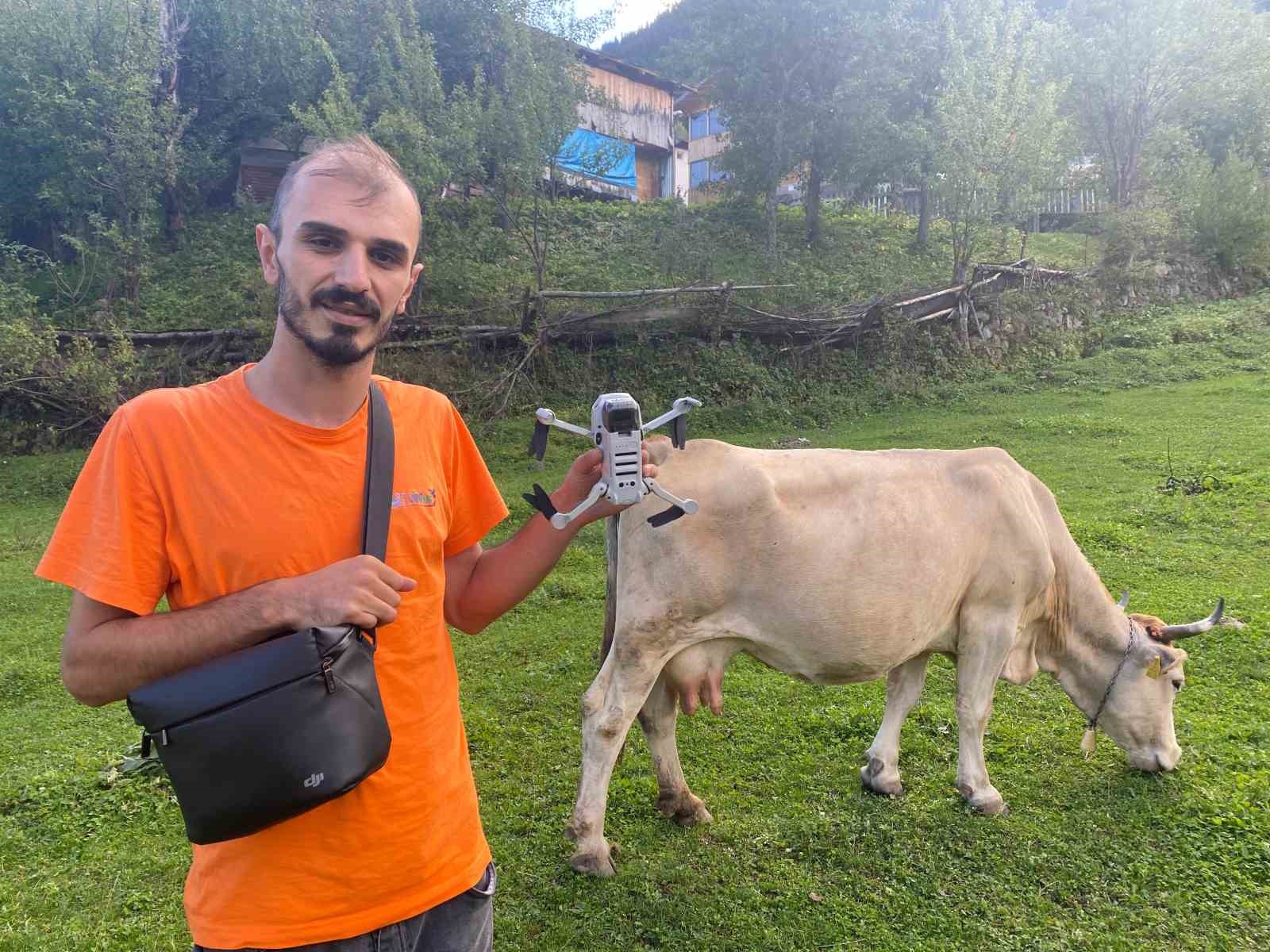 ARTVİN’İN ŞAVŞAT İLÇESİNDE İNEKLERİ DRONE İLE AHIRA GETİREN GENÇ İÇERİK ÜRETİCİSİ