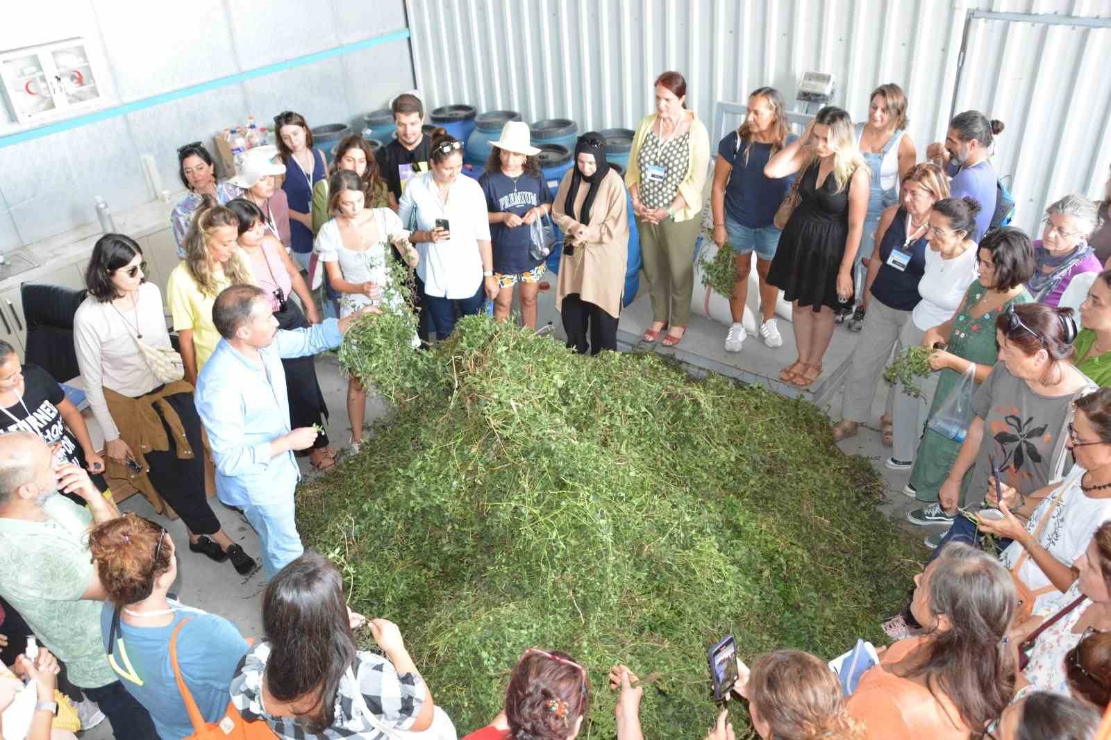 BAÇEM TARAFINDAN DÜZENLENEN TIBBİ VE AROMATİK BİTKİLER YETİŞTİRİCİLİĞİ KURSU