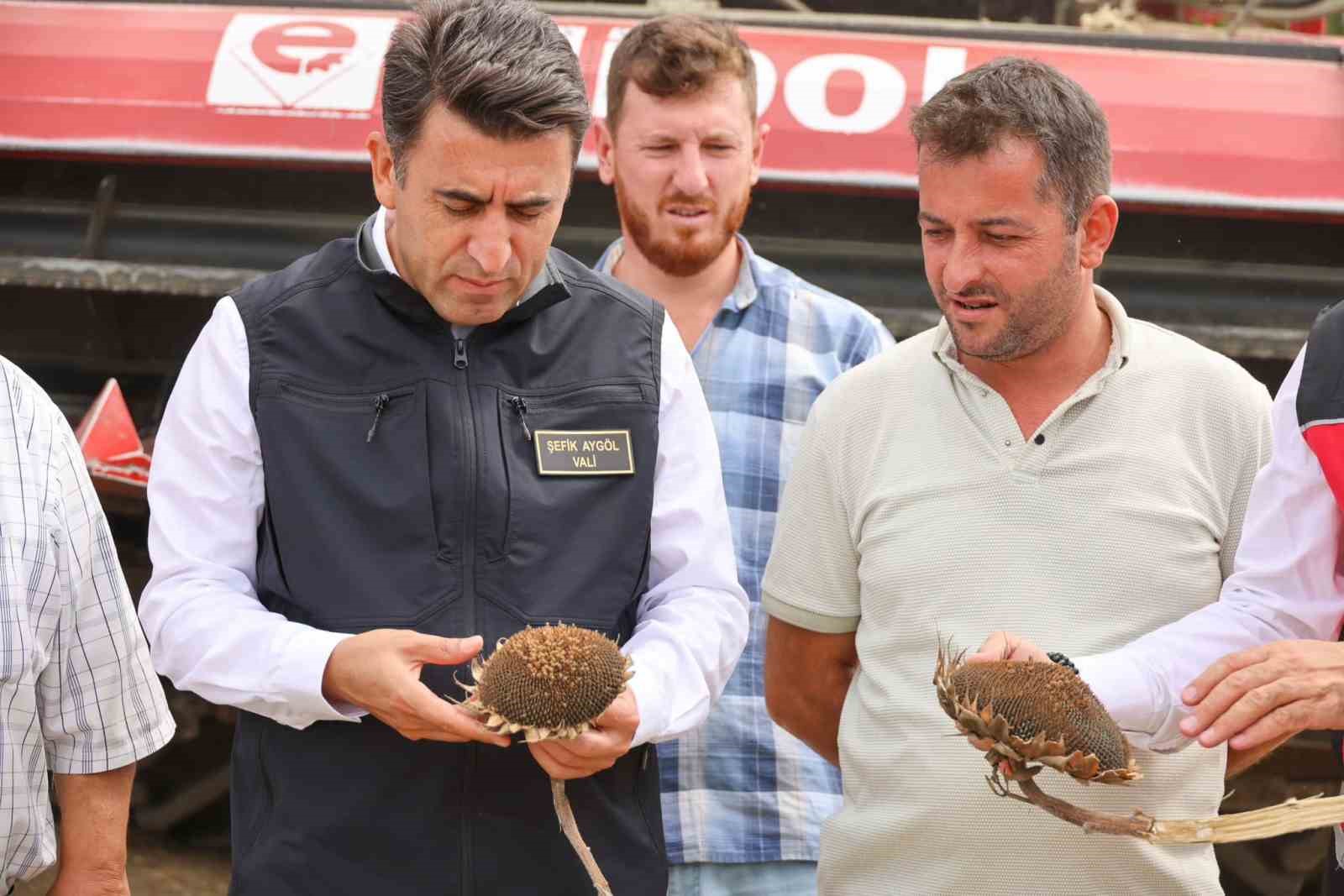BİLECİK AYÇİÇEĞİ HASADINDA REKOR ARTIŞ