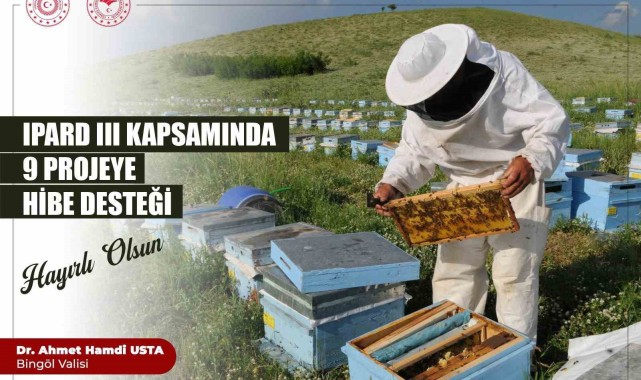 Bingöl Arı Ürünleri Projelerine Hibe Desteği Sağlayacak