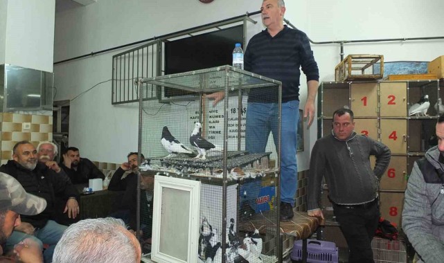 Burhaniye’de Güvercin Meraklıları Mezada Buluşuyor