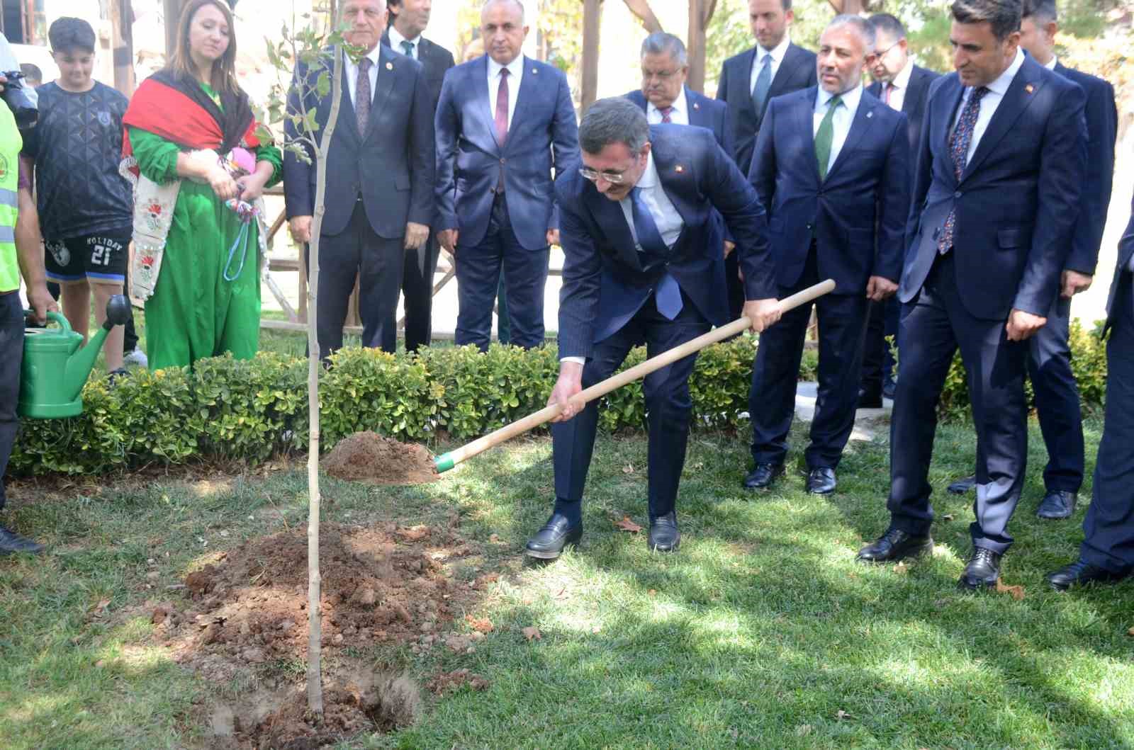 CUMHURBAŞKANI YARDIMCISI BİLECİK'TE ÇINAR AĞACI DİKTİ