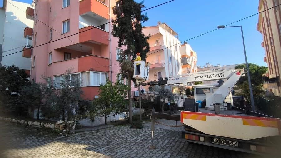 DİDİM BELEDİYESİ PARK BAHÇELER MÜDÜRLÜĞÜ EKİPLERİ KIŞ BAKIMLARINI SÜRDÜRÜYOR