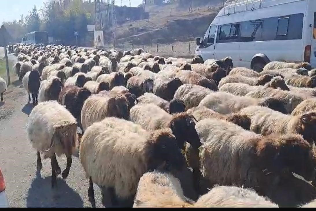 DİYARBAKIR’IN KULP İLÇESİNDE GÖÇERLERİN DÖNÜŞ YOLCULUĞU