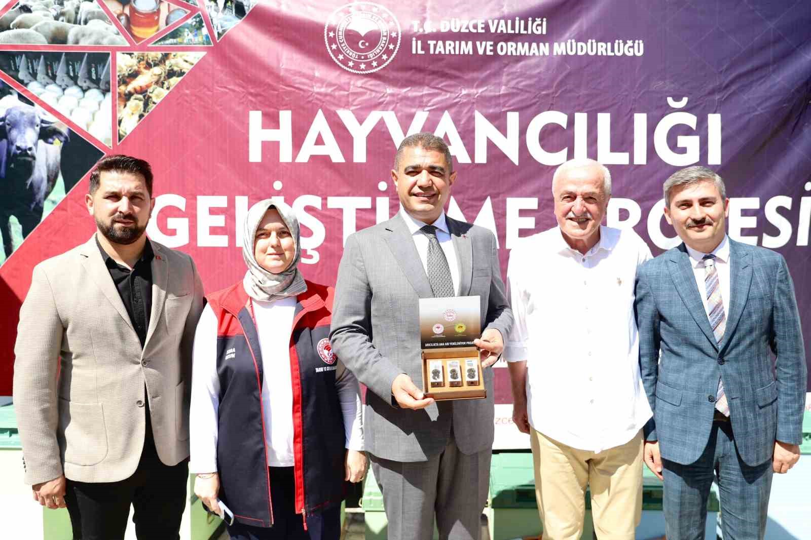 DÜZCE'DE ARICILIKTA ANA ARI YENİLENİYOR PROJESİ KAPSAMINDA 2 BİN ANA ARI DAĞITILDI