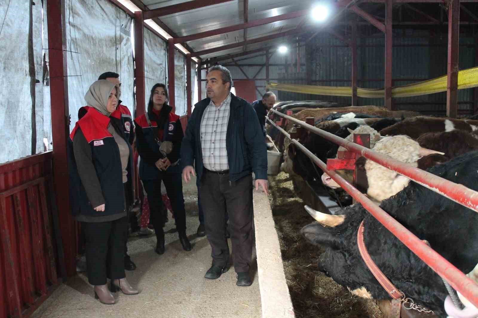 DÜZCE'DE TARIM VE ORMAN BAKANLIĞI DESTEKLİ HAYVANCILIK BAŞARISI