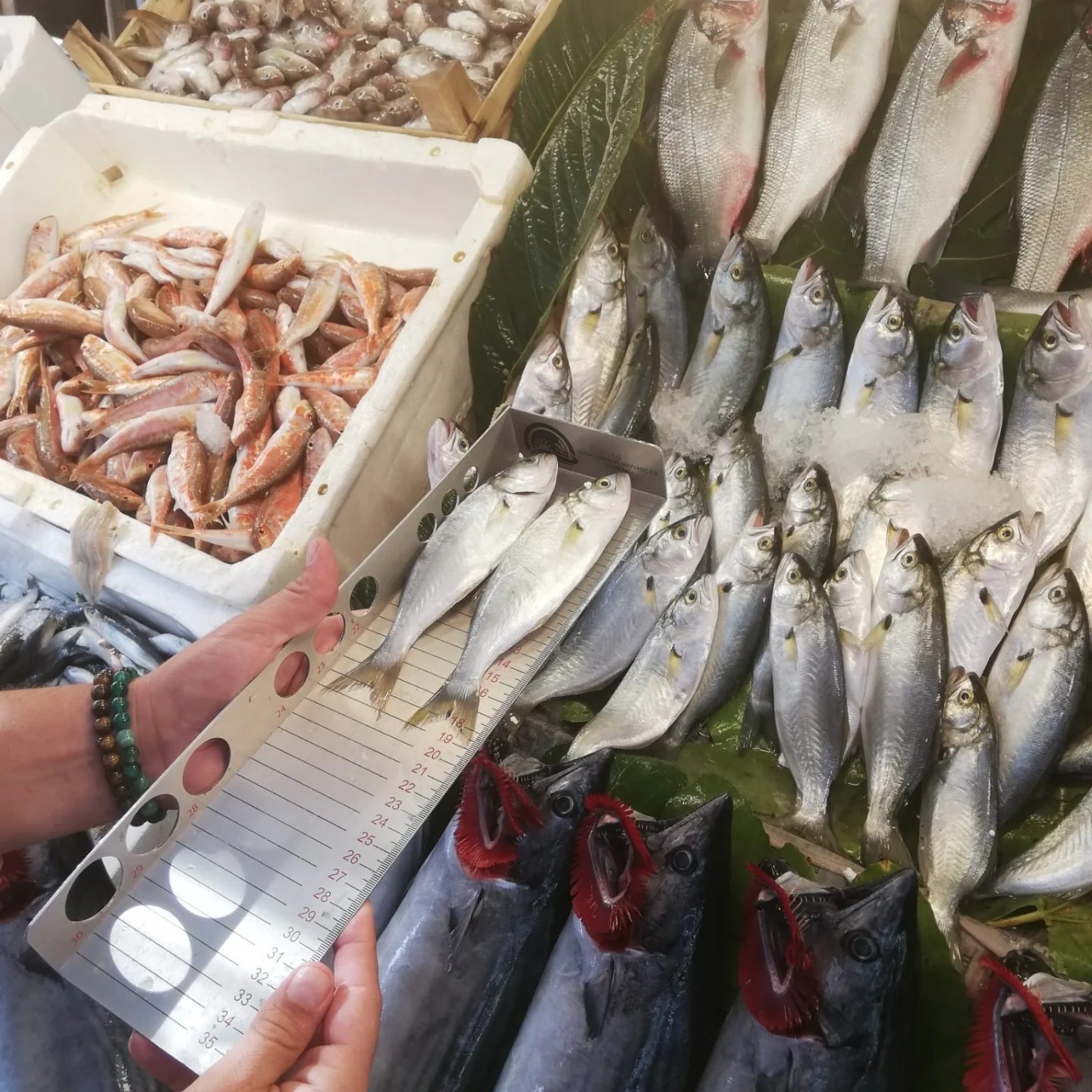 EDREMİT İLÇE TARIM VE ORMAN MÜDÜRLÜĞÜ EKİPLERİ BALIK TEZGAHLARINI DENETLEDİ