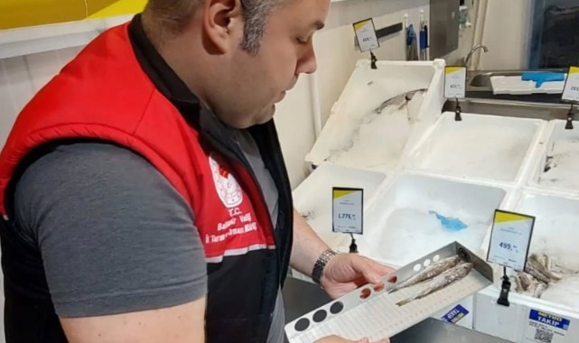 Edremit'te Su Ürünleri Denetimlerine Devam