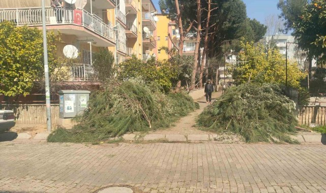 Efeler Belediyesi Budama Atıkları Hakkında Uyardı