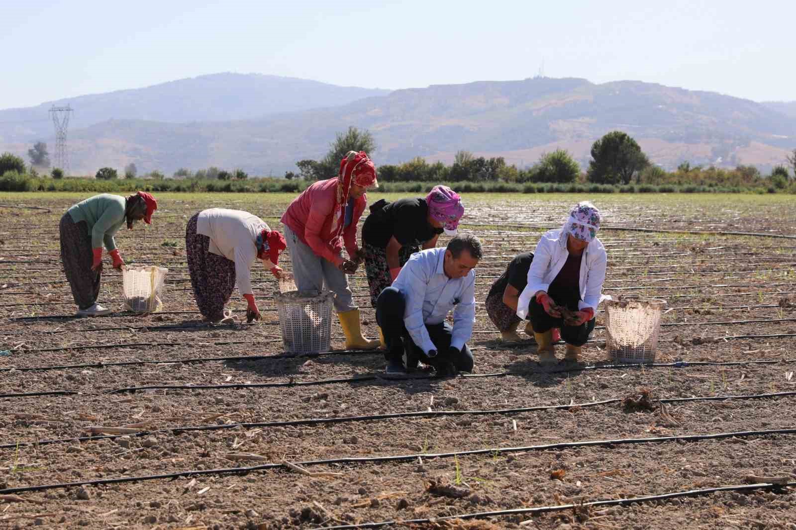 EFELER BELEDİYESİ TARIMSAL ÜRETKENLİK PROJELERİNE DESTEK VERİYOR