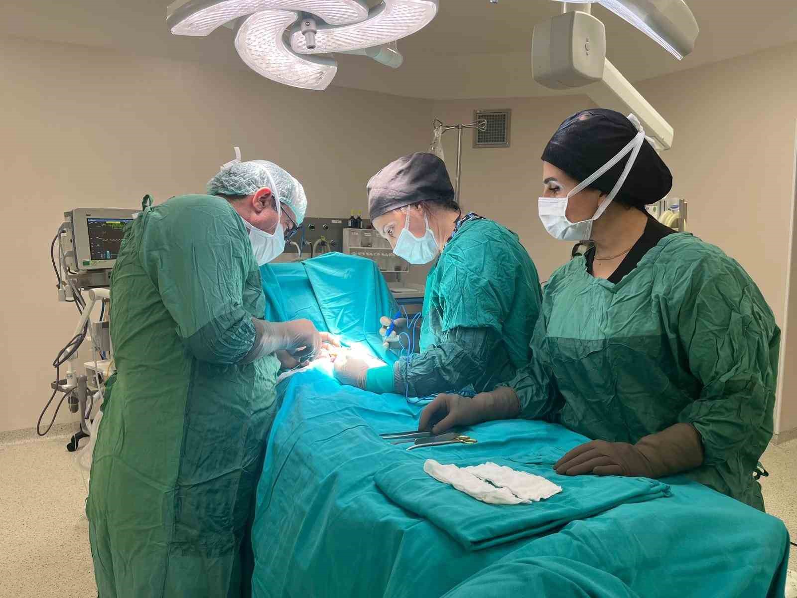 ELAZIĞ’DA DOĞAN BEBEK SAĞLIĞINA KAVUŞTU