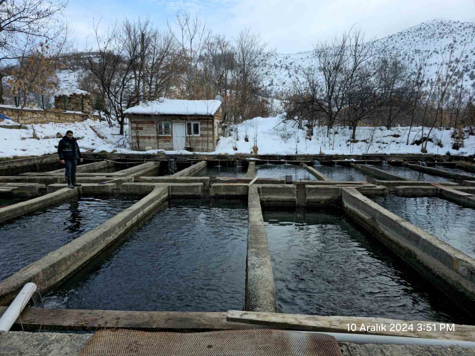 ERZİNCAN'DA SU ÜRÜNLERİ YETİŞTİRİCİLİĞİ ÖNEM KAZANIYOR