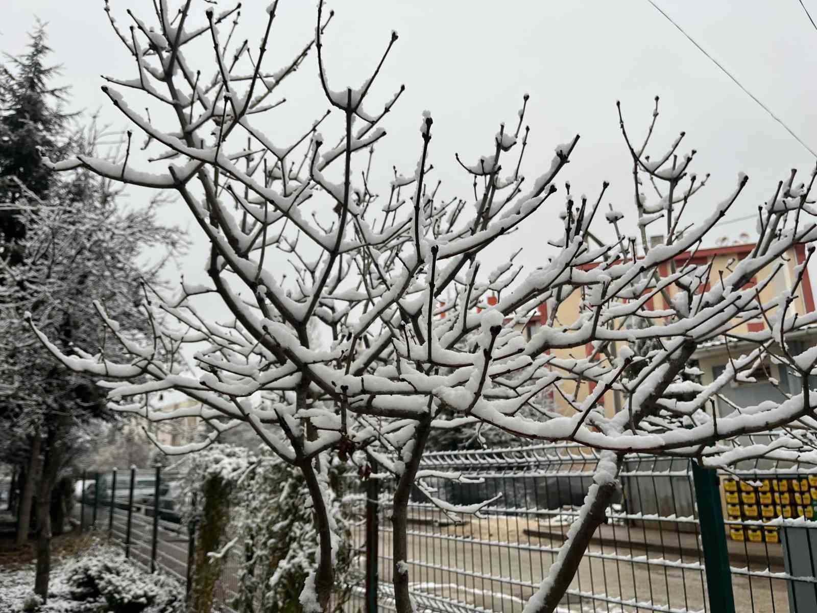 ESKİŞEHİR'DE KAR YAĞIŞIYLA SABAHINA UYANANLAR