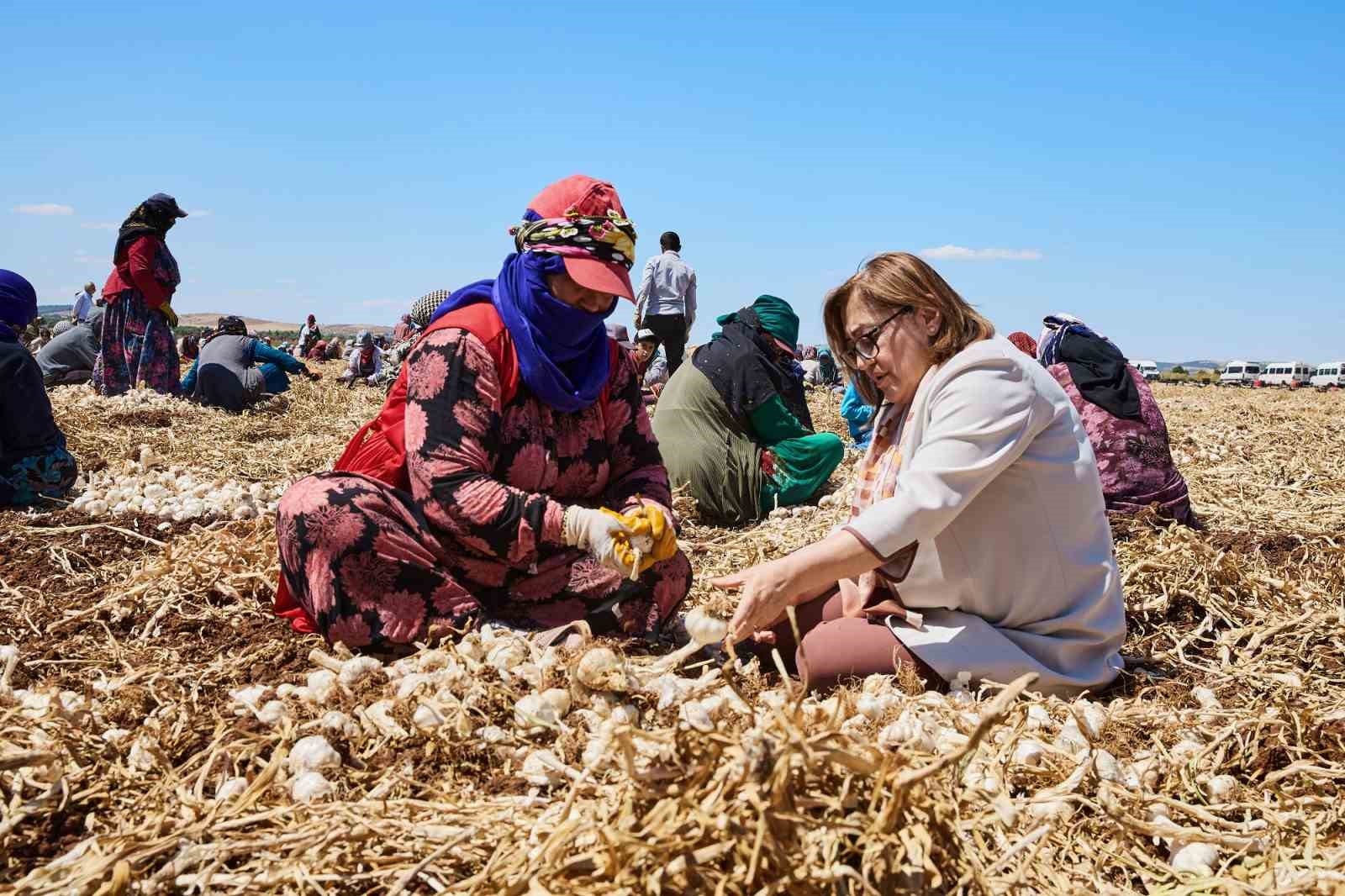 GAZİANTEP TARIM ZİRVESİ VE FUARI BAŞLIYOR