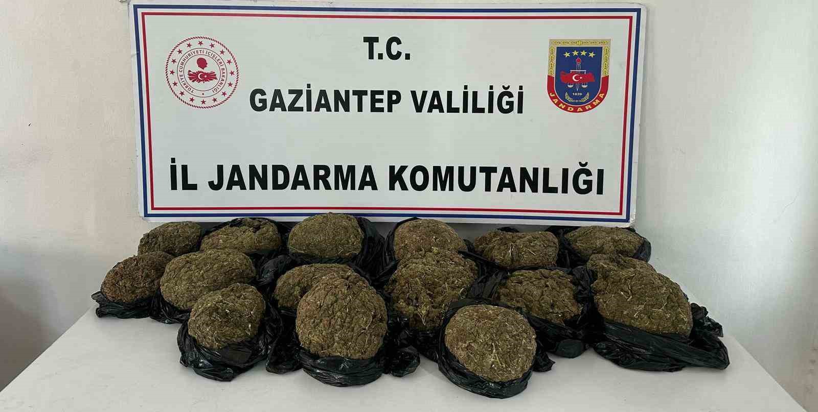 GAZİANTEP'TE OTOBÜS FİRMASININ BAGAJINDA SKUNK ELE GEÇİRİLDİ