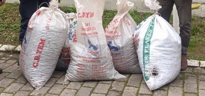 GERMENCİK'TE ZEYTİN HIRSIZLIĞI ŞÜPHELİLERİ YAKALANDI