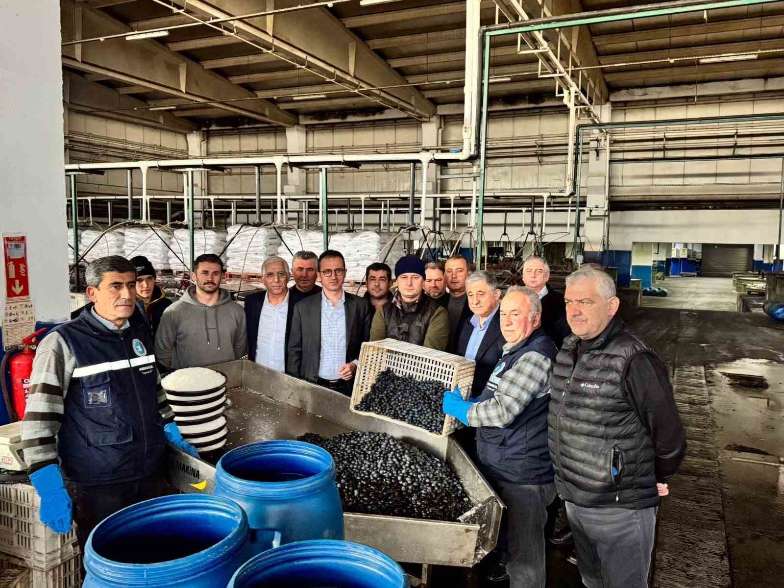 İZNİK KAYMAKAMI MARMARABİRLİK İZNİK ZEYTİN KOOPERATİFİNİ ZİYARET ETTİ