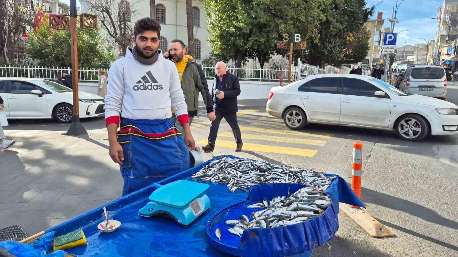 KARADENİZ'DEN GELEN HAMSİ VE İSTAVRİT TEKİRDAĞ'DA 100 TL'DEN SATILIYOR