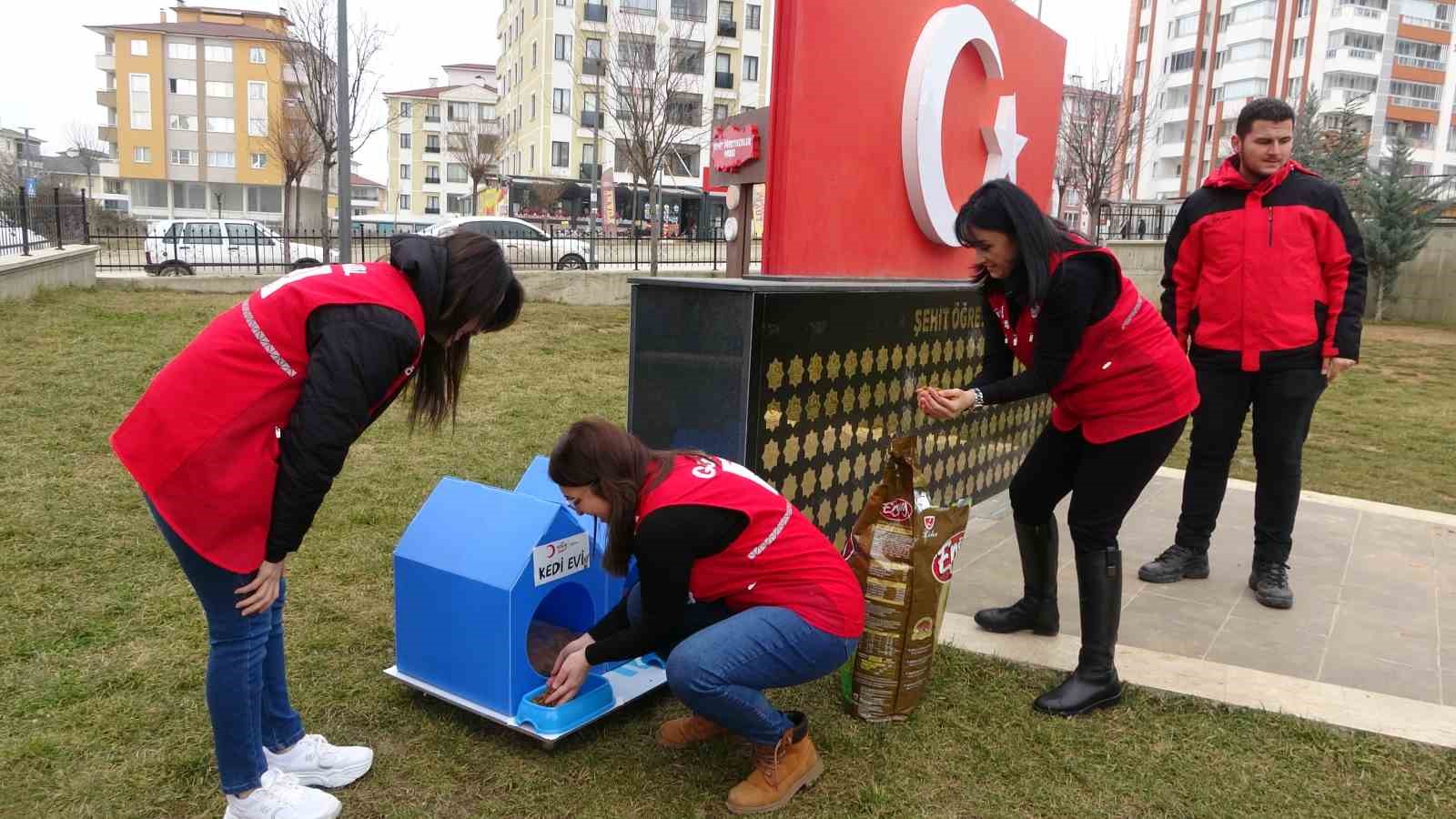 KASTAMONU'DA SOKAK KEDİLERİNE SICAK YUVALAR