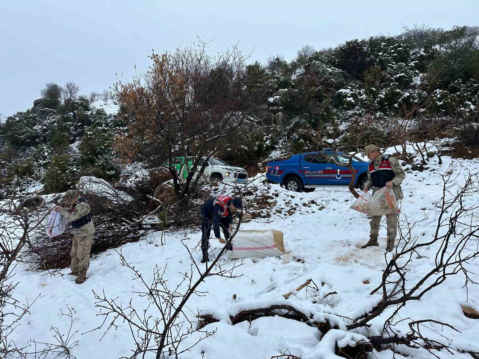 KİLİS JANDARMA KOMUTANLIĞI YABAN HAYVANLARI İÇİN DOĞAYA YEM BIRAKTI