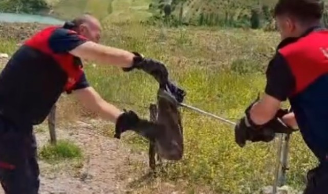 Kütahya’da Sıcak Havalarda Artan Yılan ve Kene Tehlikesi