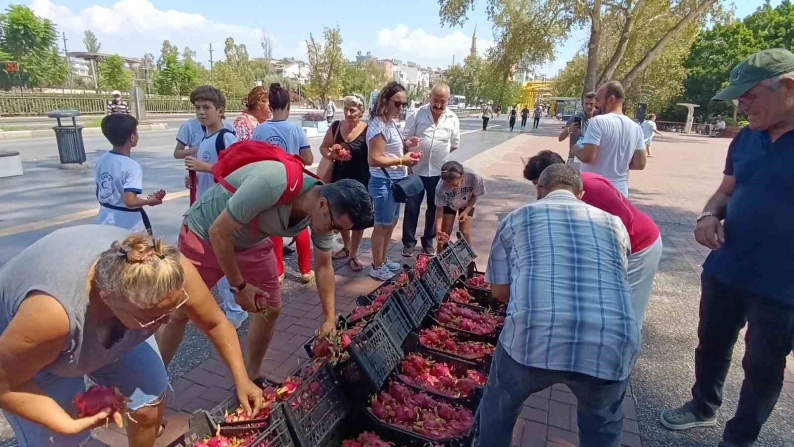 MANAVGAT CUMHURİYET MEYDANI'NDA ÜCRETSİZ EJDER MEYVESİ DAĞITILDI