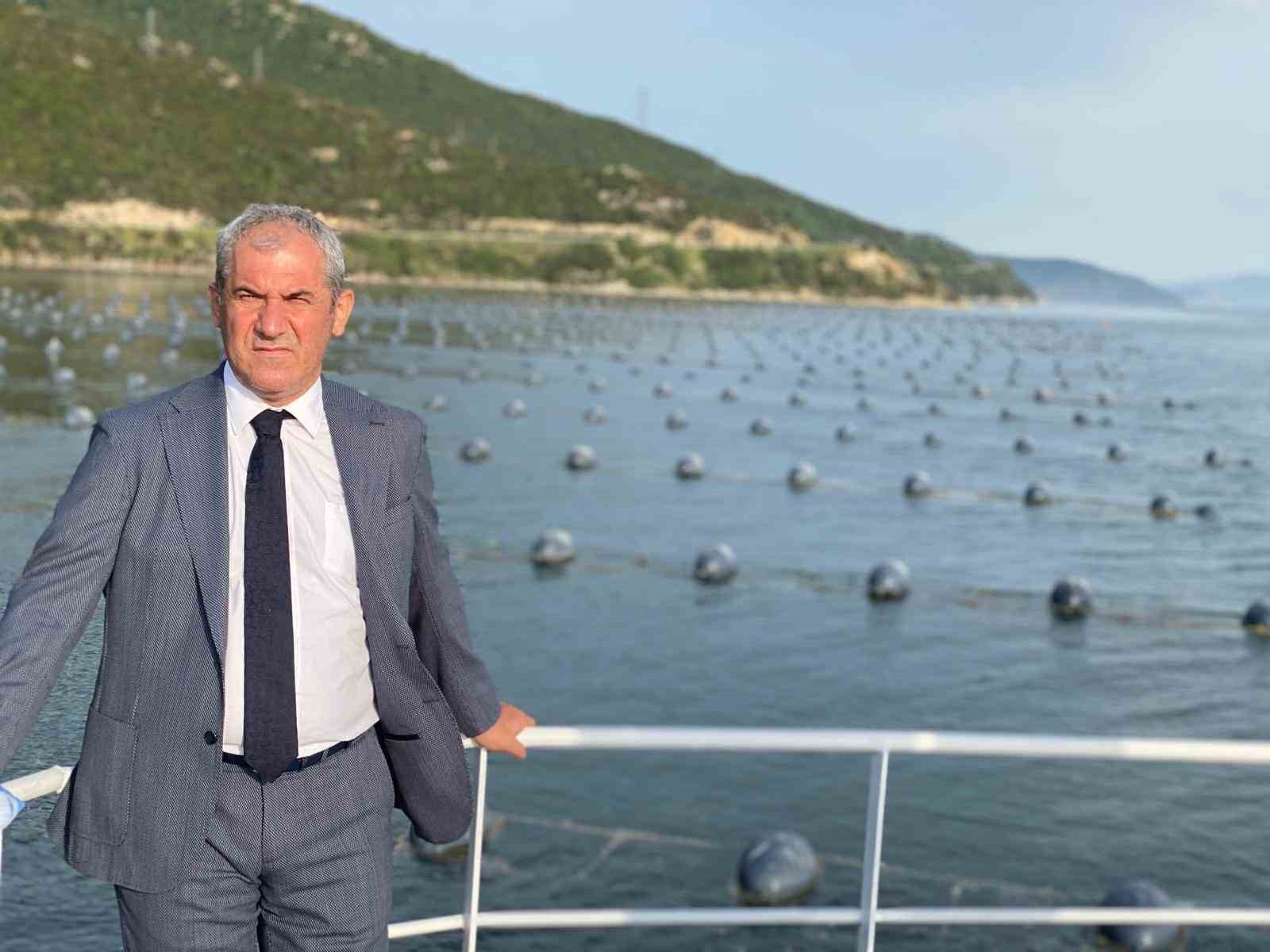 MARMARA DENİZİ'NDE ÇİFTLİK MİDYE ÜRETİMİ VE İHRACAT POTANSİYELİ
