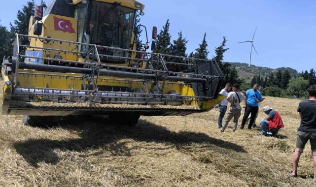 Muğla'da 2025 Yılı Hububat Hasadı Başladı