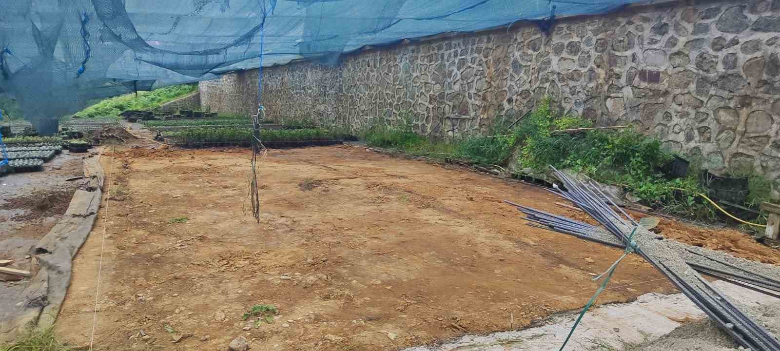 RİZE ZİRAAT ODASI ÇAY TOHUMU YAĞI FABRİKASI KURUYOR