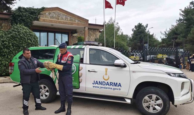 Şahine Jandarma Ekipleri Şefkat Eli Uzattı