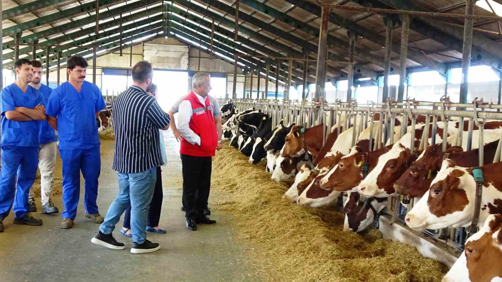 SAMSUN'DA HAYVAN SAĞLIĞI VE YETİŞTİRİCİLİĞİ HİZMETLERİ DEVAM EDİYOR