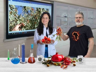 ADÜ TEKNOKENT’TE YAPILAN ÇALIŞMALAR NAR VE İĞDE ÜZERİNDE DEVAM EDİYOR