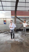 ARKADAŞLARI TARAFINDAN OTO YIKAMAYA GÖTÜRÜLEN DAMAT VİRAL HALE GELDİ