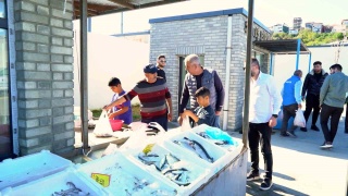 ARNAVUTKÖY BELEDİYESİ KARABURUN BALIK HALİNİ HİZMETE AÇTI