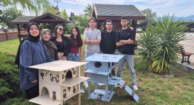 Balıkesir’de Öğrencilerden Sokak Kedileri İçin Kedi Evleri Projesi