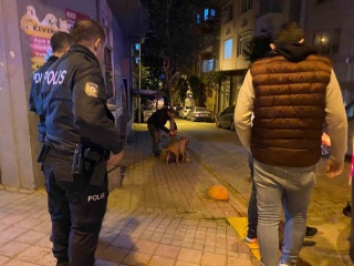 BANDIRMA’DA PİTBULL SOKAK KÖPEĞİNE SALDIRDI