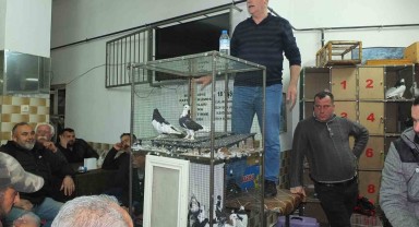 Burhaniye’de Güvercin Meraklıları Mezada Buluşuyor