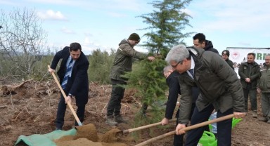 Bursa’da Denetimli Serbestlik Yükümlüleri Fidan Dikti