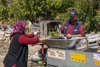 BÜYÜKŞEHİR BELEDİYESİNDEN ÜZÜM SIKMA MAKİNESİ DESTEĞİ