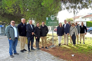 ÇEŞME’DE SAKIZ AĞACI SAYISI HIZLA ARTIYOR