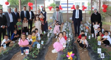 Çocuklar Organik Çilek Hasadında Buluştu