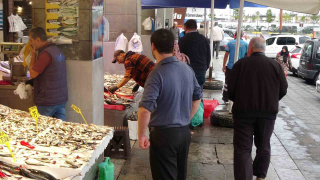 DENİZLERDE PALAMUT SEZONU BAŞLADI!