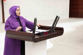 DENİZLİ MİLLETVEKİLİ SEMA SİLKİN ÜN YAPI DENETİM KANUNU TEKLİFİNİ ELEŞTİRDİ