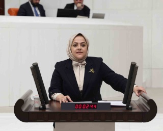 DENİZLİ MİLLETVEKİLİ SEMA SİLKİN ÜN 'YENİDOĞAN ÇETESİ' İLE İLGİLİ AÇIKLAMALAR YAPTI