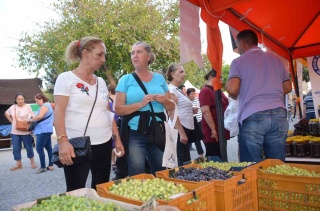 DİDİM ZEYTİN FESTİVALİ RENKLİ GÖRÜNTÜLERLE BAŞLADI